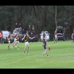 Jarrod Di Giandomenico