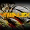 YnwALex