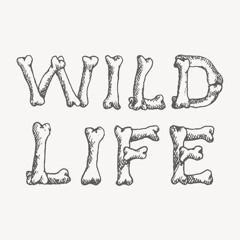 Wildlife Radio