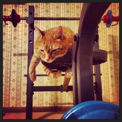 Adam Harley  Leatherman