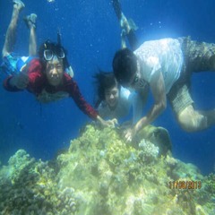 reggae