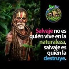Yo Tolima Ut