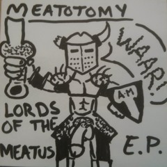 Meatotomy
