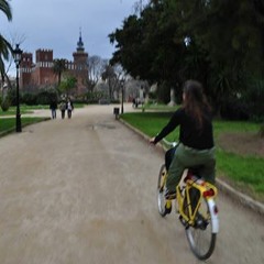 Roberta Rosa 4
