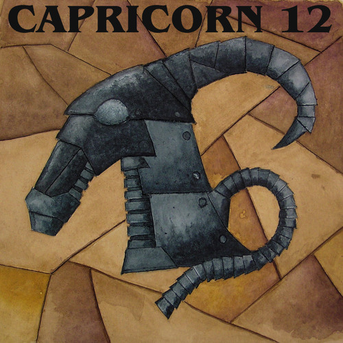 Capricorn Twelve’s avatar