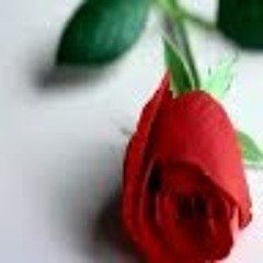 Malik Bashir Ahmad