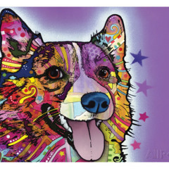 sloanedogmillionaire