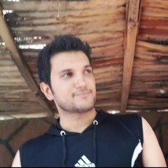 Mohamadreza Shahrokhi