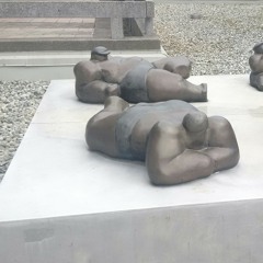 nopecs