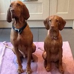 Jennifer Crawford 14