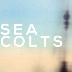 Sea Colts