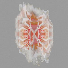 GeOMetrae