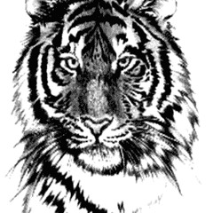 Dehateh