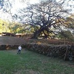 Juan Roberto Mora Chaves