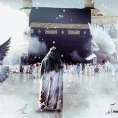 Meer hassan meer