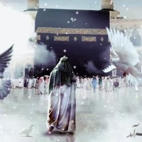 Meer hassan meer