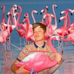 Einar Algotsson Huss