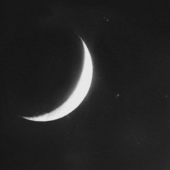 pale moonligth