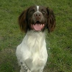 Amanda Ryll James Ryll