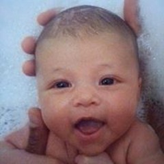 David Howard Carcasse