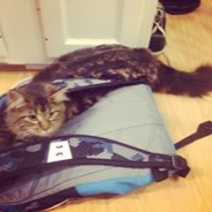 Naomi Faith Zielinski