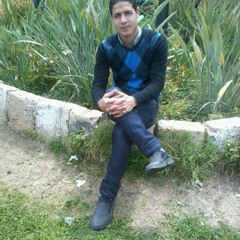 fouad abdelghany
