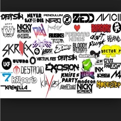#EDM Artists