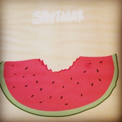softwar