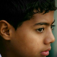 سيد هاني الوداعي -الخيل