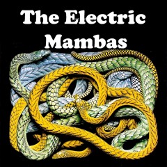 The Electric Mambas
