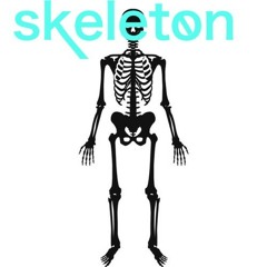 skeleton ビーツ