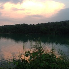 Stefan Domink Brändel