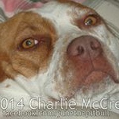 Charlie McCrea 1
