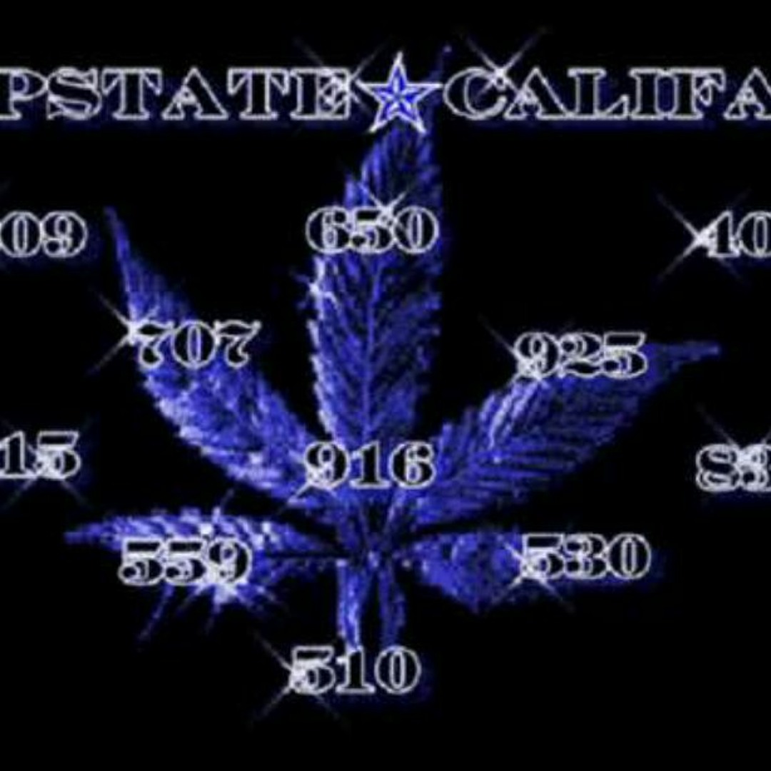 avatars-000083045941-5eu2ri-