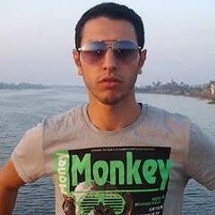 Mohamed Metwali Amer