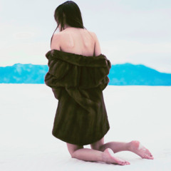 FLIES THE OMNIPRODUCER