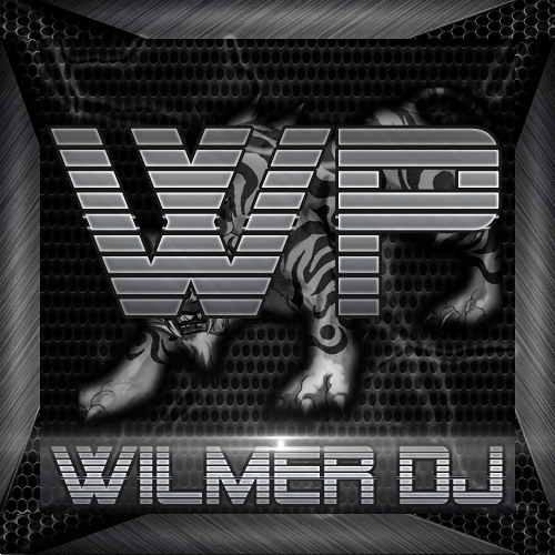 Wilmer Aules’s avatar