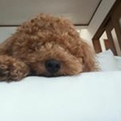 Ryosuke Takahashi 10