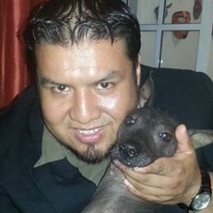 Bruno E. Nava Canseco