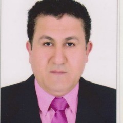Mohamed Elnaggar