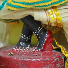 Shruti (Braja Vallabhi d)