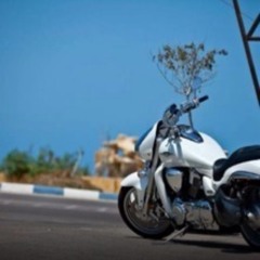 Ahmed Tarek 489