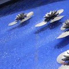 Rabbiaatul Addawiyah