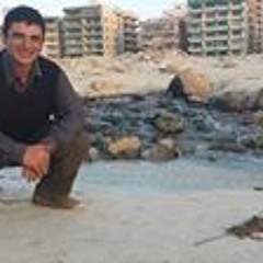 eng.Hossameldin Ramadan