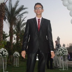 mostafa rashed