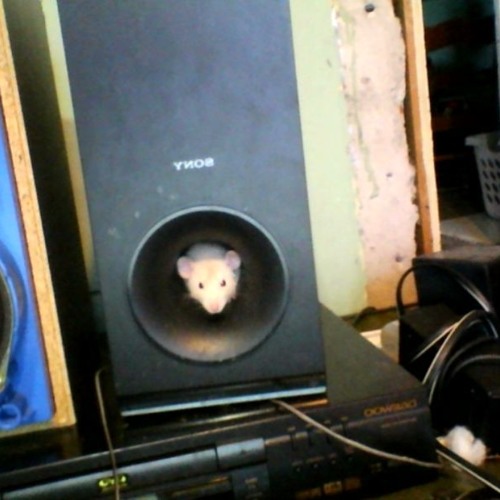 Don't Fear the Reaper - Blue Oyster Cult 8-Bit Remix