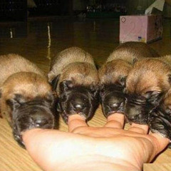 RockAndRollWillNeverDie