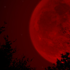 redmoonrising24