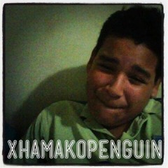 Xhamakopenguin