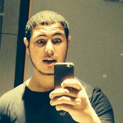 Omar Assem Elhady
